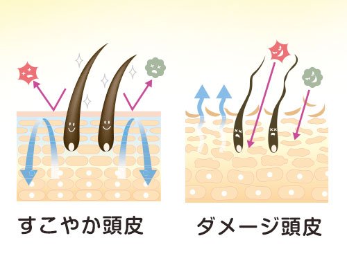 頭皮もクレンジング！？知っておきたい「すこやか頭皮」のためのメソッド